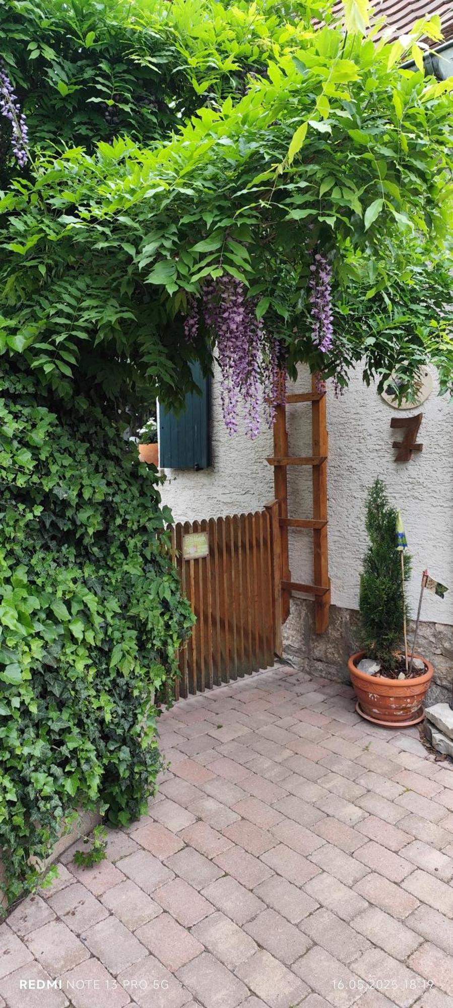 Ferienwohnung Geiernest Оксенфурт Экстерьер фото