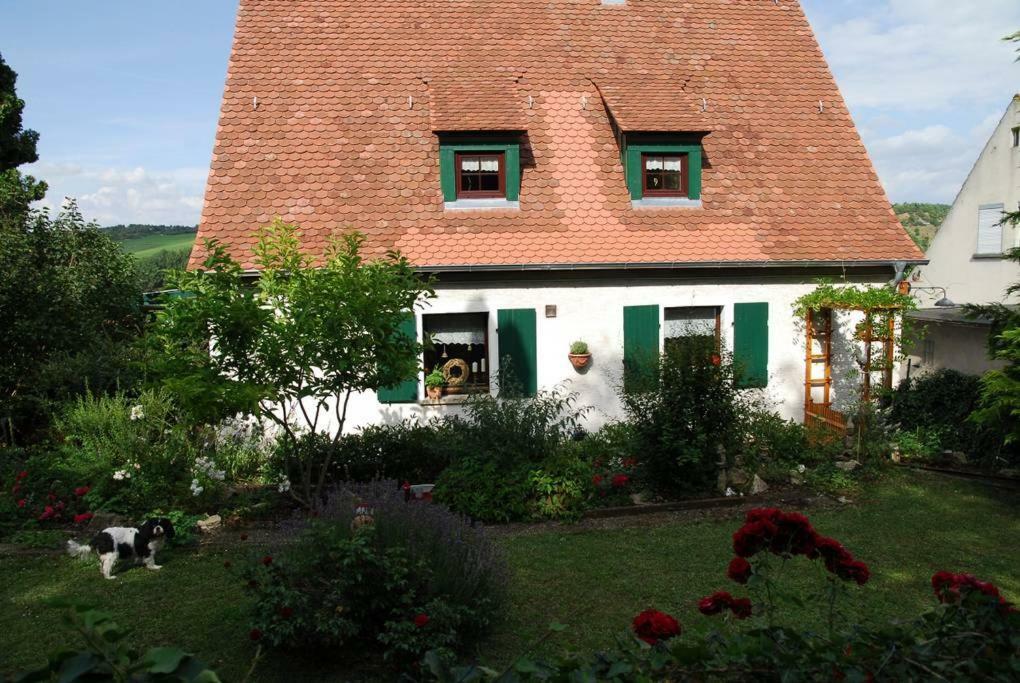 Ferienwohnung Geiernest Оксенфурт Экстерьер фото